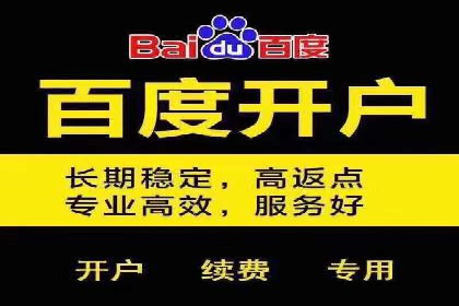 专业SEM托管，案例分析效果显著